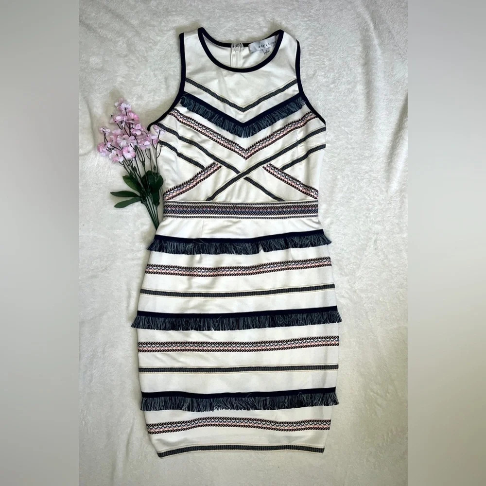Adelyn Rae Embroidered Fringe Sheath Dress - Small